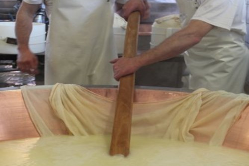 Parmigiano-Reggiano estrazione